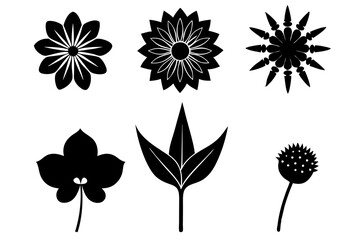 6 vector silhouette icon set of Scabiosa, Sea Holly, Star of Bethlehem, Chocolate Cosmos, Canna Lily, Static