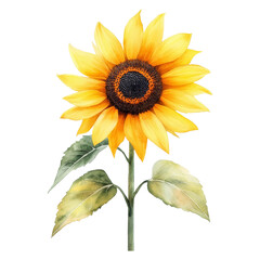 Naklejka premium Vibrant sunflower blooming nature close-up floral artwork botanical environment bright colors beauty concept