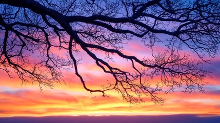 Obraz premium Twilight scene with bare trees reaching into the sky, warm orange and cool purple twilight hues, delicate branches casting gentle shadows, serene landscape painting