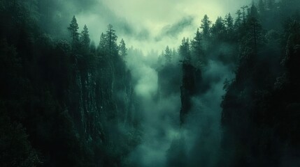 Cinematic background with fog and mist over a forest, casting soft, ethereal light for a fantasy-like atmosphere