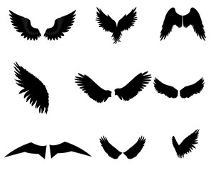 Angel wings, Natural black wing plumage, Wings icon set 2025