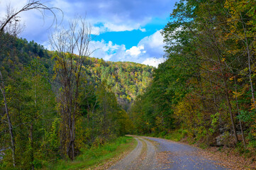 The Grand Canyon of Pennsylvania at Leonard Harrison State Park, in Watson Township, Pennsylvania.