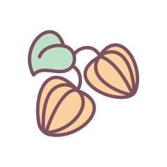 Cute winter cherry icon. Hand drawn illustration of a physalis branch isolated on a white background. Vector 10 EPS.