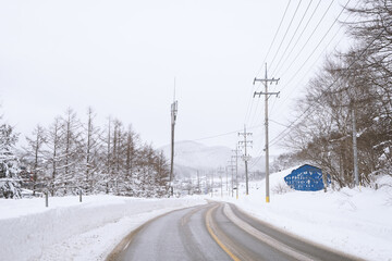Snow Scenery of Daegwallyeong, Gangwon-do, Korea