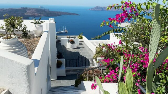 White architecture in Santorini island, Greece. Beautiful terrace with blooming pink flowers. Blue sea and the blue sky at sunny day. Travel and summer vacation concept. 
