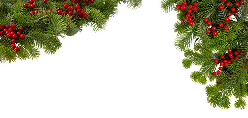Christmas tree border and red holly berries decoration isolated on white transparent, Xmas festive garland © Rawf8