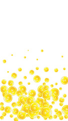 Ferritin round droplets scattered randomly.