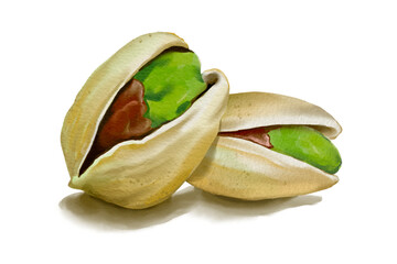Pistachio beans isolated Hand drawn illustration on a transparent background