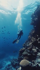 Solitary Scuba Diver Explores Vibrant Coral Reef Wall, Underwater Adventure in Paradise