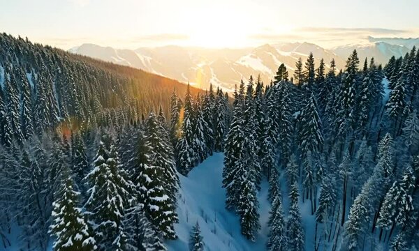 Aerial view drone flying above forest in the mountains. Snowy wether at Sunrise over frozen trees