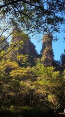 Majestic Mountain Cliffs Surrounded by Lush Forest