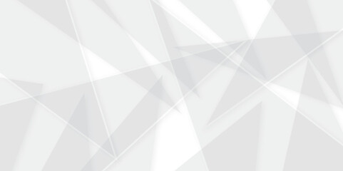 Abstract white and gray line background design. abstract white and grey on light silver background modern design. Low poly vector illustration. triangle pattern gradient background.