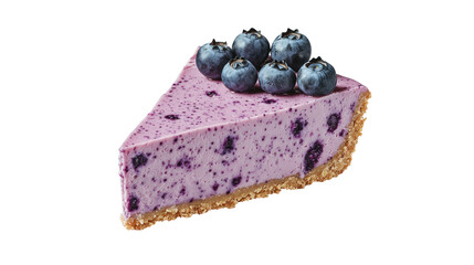 Blueberry cheesecake slice with fresh blueberries