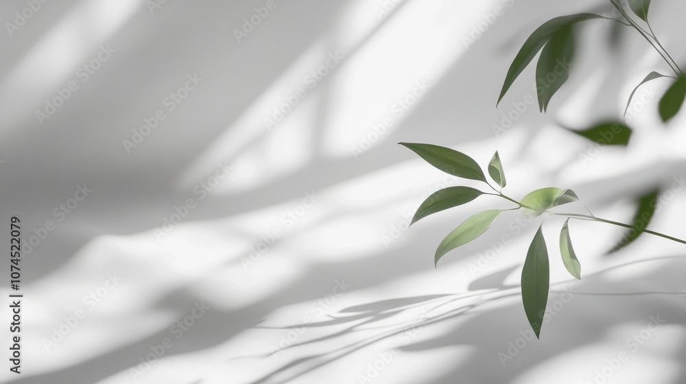 Poster soft sunlight casts delicate shadows of leaves against a bright background, creating a serene and ca