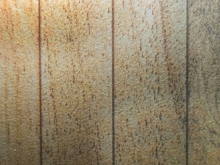 Wood texture wooden background. Abstract wood texture. Light brown surface of old knotted wood with...