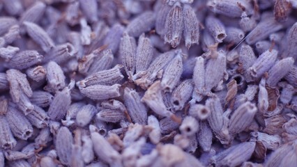 Dried lavender purple buds. Lavender is used as herbal filler inside sachets, potpourris, wedding...