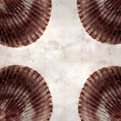 textured stylish old paper background, square with shell of Talochlamys pusio, fan clam