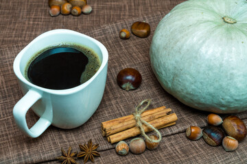 Pumpkin, chestnuts, anise, cinnamon, hazelnuts on a brown background. Side view, copy space