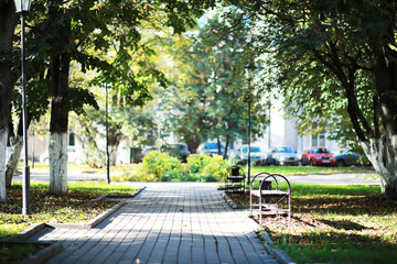 city park without people on an autumn day, bright rays of the sun shine through the crowns of maple...