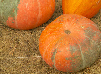 Large pumpkins on hay