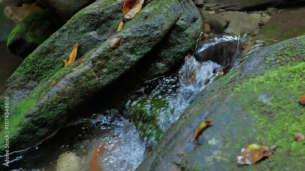 Wall mural A slow-motion video capturing a small waterfall in a mountain stream