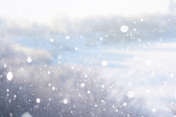 Blurred snow background. Winter landscape. Trees and plants covered with snow.