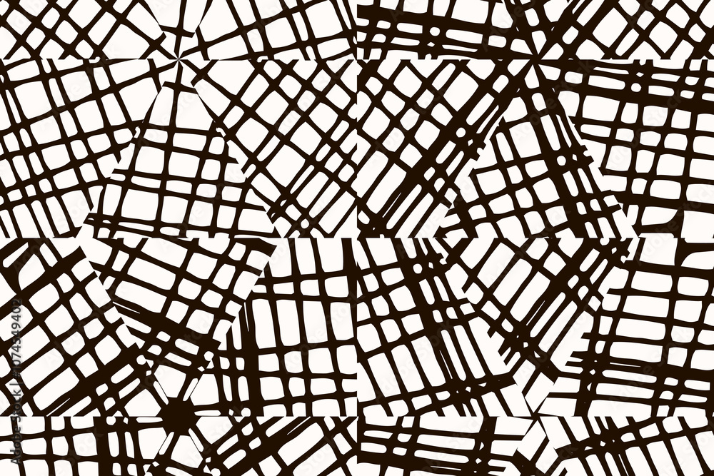 Poster intricate black and white pattern of woven lines creating a dynamic visual texture