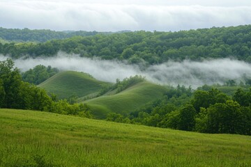 Rolling Hills with Low-Lying Fog