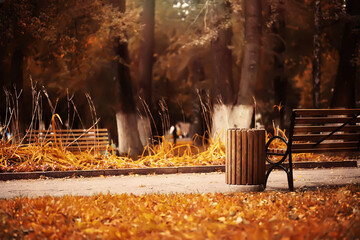 Taking a rest on a wooden bench in the park during autumn season