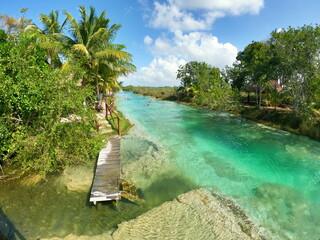 Tropical island lagoon with palm trees beautiful nature 