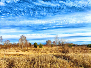 A tranquil landscape featuring vast fields and scattered trees under a bright blue sky in early autumn