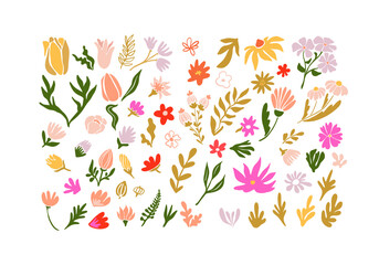Vibrant Floral Collection Featuring Hand-Drawn Flowers and Leaves in a Variety of Colors, Perfect for Creative Projects, Stationery, Scrapbooking, and Beautiful Designs for Any Occasion