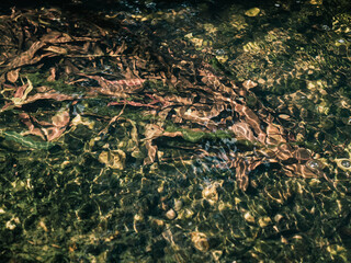 Water surface