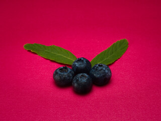 Blueberries with leaves on a red background plain