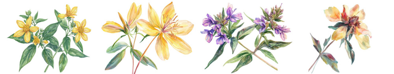 Beautifully Illustrated Joyweed Flowers in Vibrant Yellow Purple and Orange Hues  Watercolor Painting of Lush Botanical Floral Blooms Against a Serene Natural Background