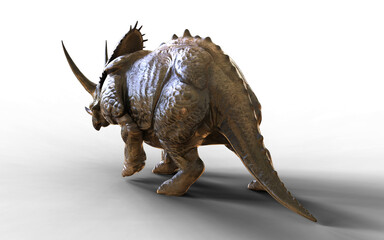 3d Illustration of a majestic dinosaurs in a prehistoric landscape isolated background with Clipping path. Triceratops dinosaurs.