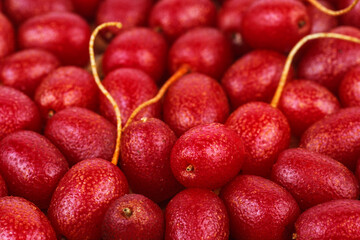 Red sea buckthorn.Shepherdia.Buffaloberry.Red berry .Food background.