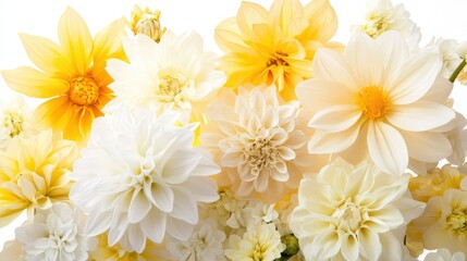 A stunning bouquet featuring a mix of white and yellow blooms is displayed against a smooth white background.