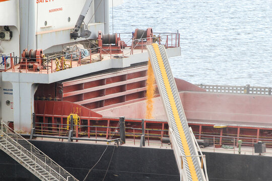 Loading of corn into the ship's hold by a mobile conveyor standing on the pier