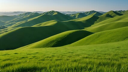 Fototapeta premium Panoramic view of rolling green hills under a clear blue sky.