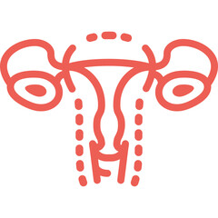 Illustration of the female reproductive system highlighting the uterus anatomy in a clear and simple design