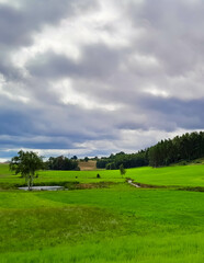 Storm is coming. Cloudy sky over Kashubian meadows.
