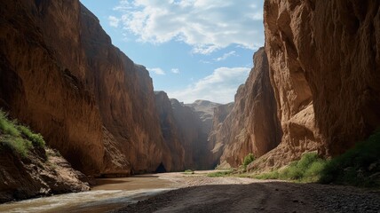 Explore the breathtaking beauty of an unforgettable canyon featuring massive rock arches under a vibrant sky.
