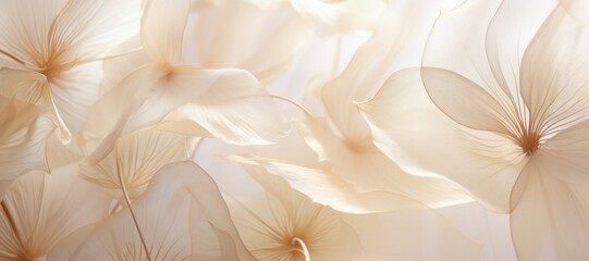 Abstract beige lotus petals background flower blossom pattern.