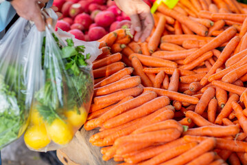 Fresh carrots on the counter of the farmers market in the city. Man's hand selecting carrot at the local market, selective focus