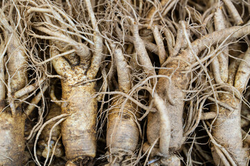 raw ginsengs on sale in the market
