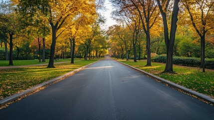 Fototapeta premium Autumnal Road