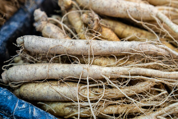 raw ginsengs on sale in the market