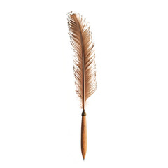 A quill pen vector illustration on a transparent background