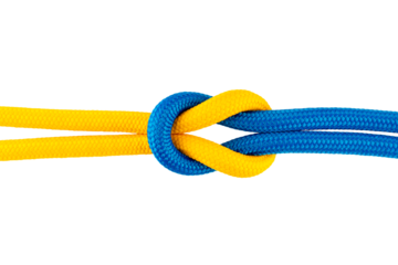 Blue and yellow synthetic rope tied in a knot, made of plastic or nylon strings, isolated on a transparent background